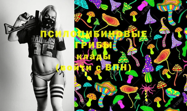 дмт Алексин