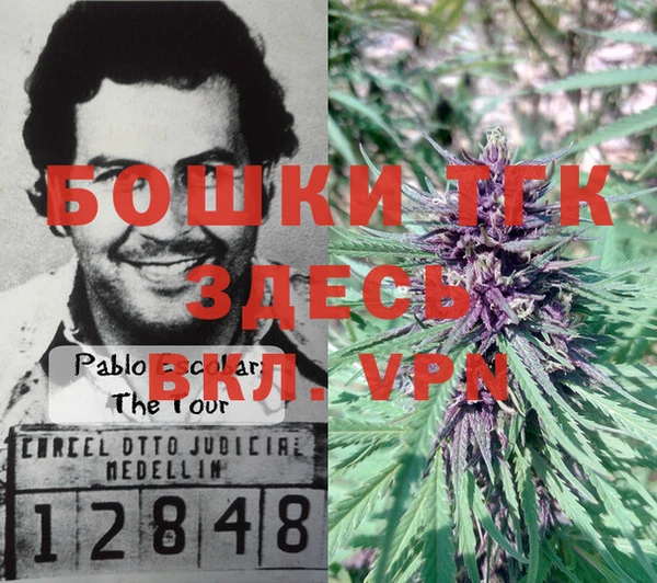 PSILOCYBIN Алзамай
